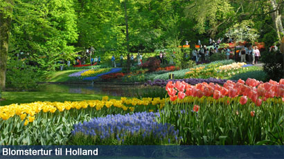 Blomstertur til Holland 24.  27. april